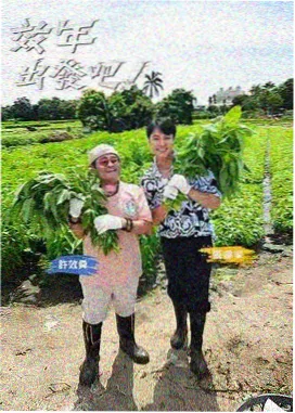 乘风破浪的姐姐 国产综艺